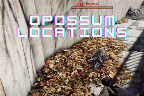 Fallout 76: Explore All Opossum Locations